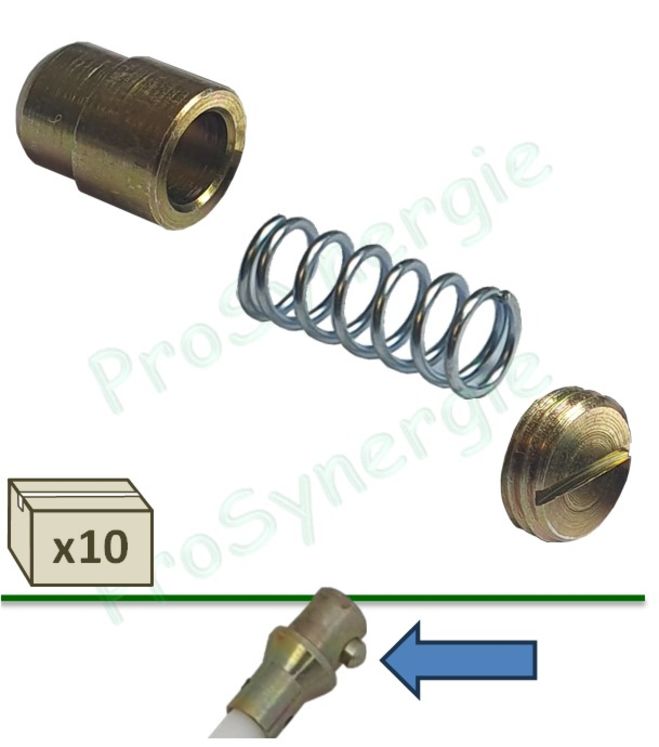 Lot de 10 mécanismes de verrouillage (vis, ressort et poussoir) pour la réparation des raccords mâle de cannes et accessoires Rotoflex